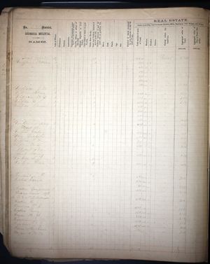 Georgia, Property Tax Digests, 1793-1893 (1871).jpg