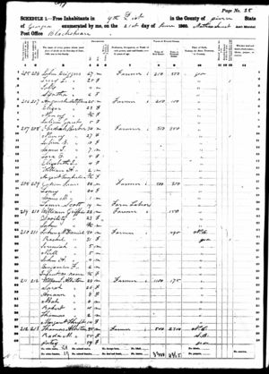 1860 U.S. Federal Census - Georgia, Pierce County, 9th District - Page 28.jpg
