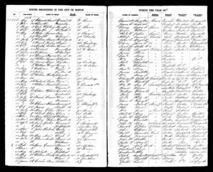 Massachusetts, Town and Vital Records, 1620-1988 - Births Registered in the City of Boston During the year 1856, No. 5806 through 5855.jpg