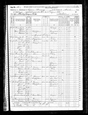 1870 Federal Census - Illinois, Ford County, Lyman.jpg