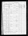 1870 Federal Census - Illinois, Ford County, Lyman