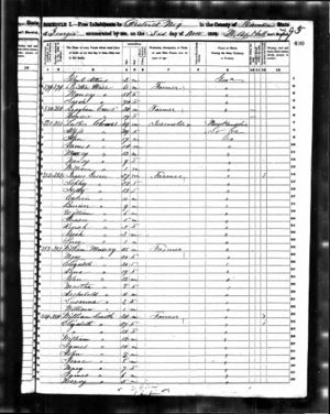 1850 Federal Census - Georgia, Camden County, 9th Subdivision - page 795 (written).jpg