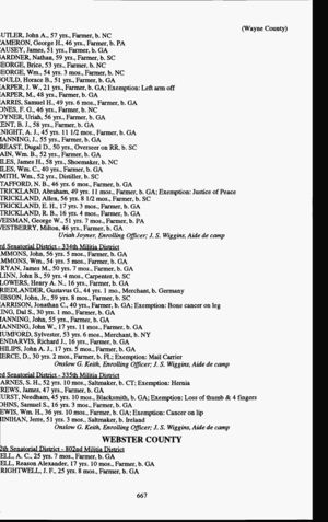 1864 Census for Re-Organizing the Georgia Militia - Page 671.jpg