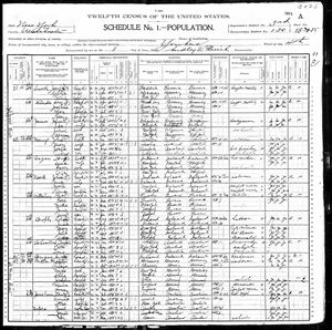Copy of 1900 Federal Census including James Family.jpg