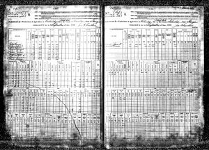 Selected US Federal Census NonPopulation Schedules 1880.jpg