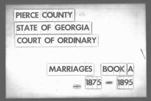 Georgia Archives - County Records from Microfilm - Pierce County Marriage Book A, 1875-1895 - i.jpg